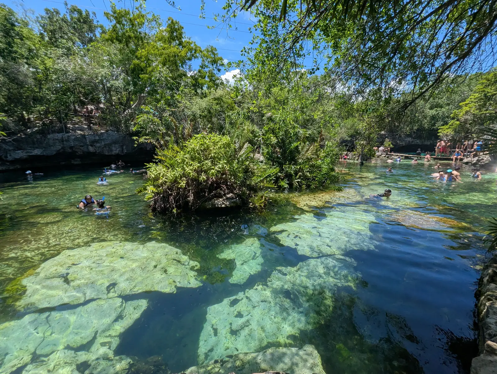 Swimmers in the clear green water of a cenote near Playa del Carmen