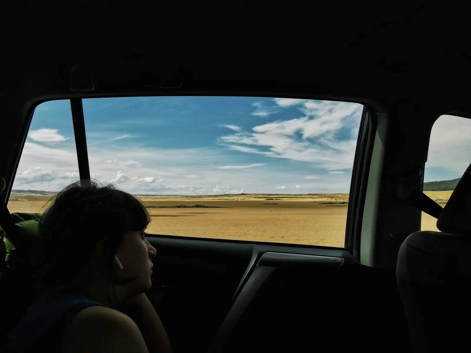 A passenger gazing out the car window at open golden plains on a road trip