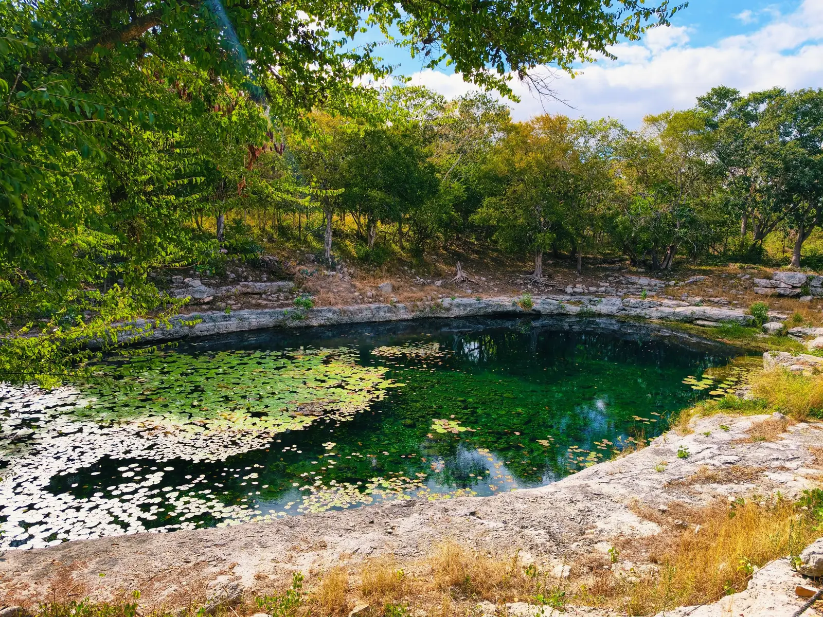 The rocky limestone rim of the sacred cenote at Dzibilchaltun in the Yucatan