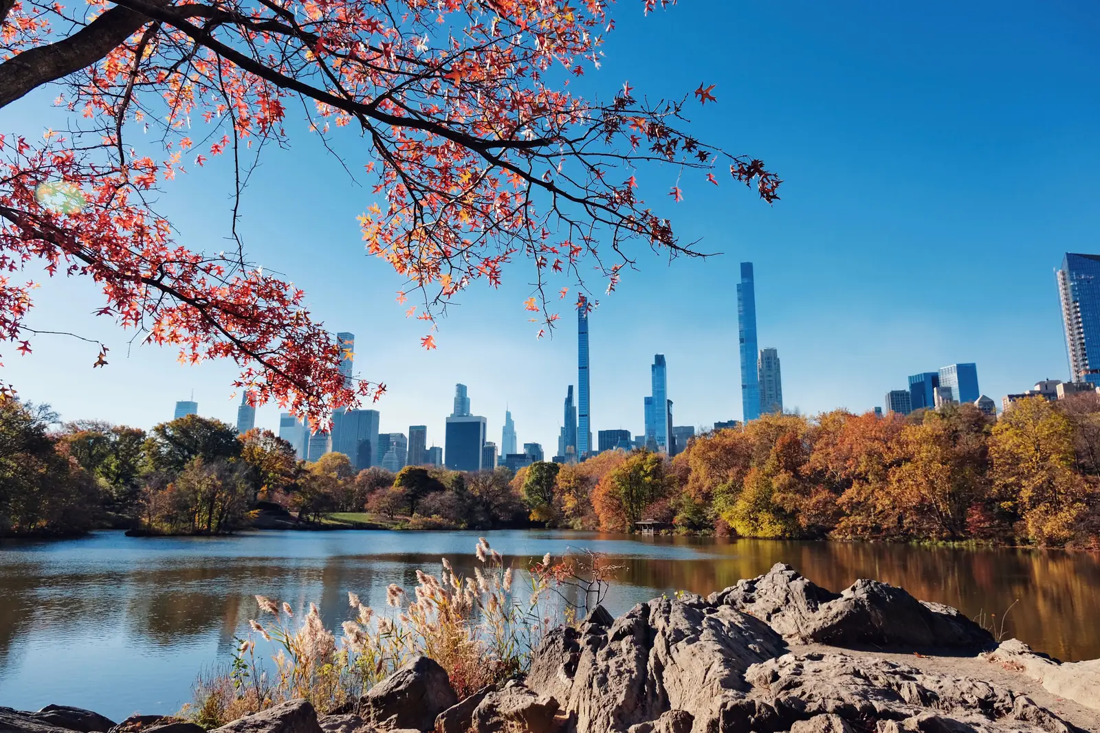 The Manhattan skyline seen across the Central Park lake in autumn
