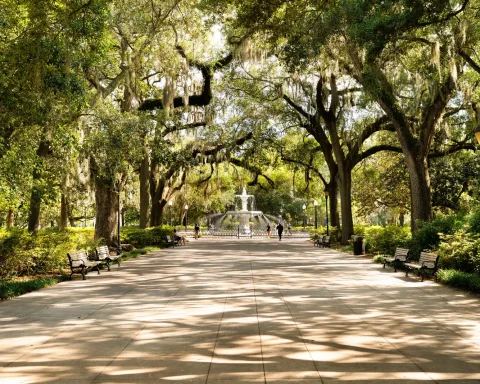 The oak walkway leading to the fountain in Forsyth Park, Savannah