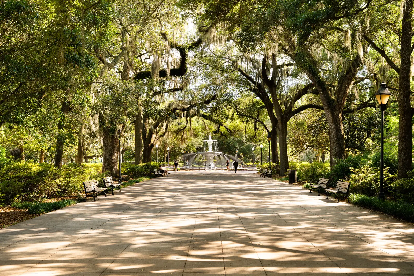 The oak walkway leading to the fountain in Forsyth Park, Savannah