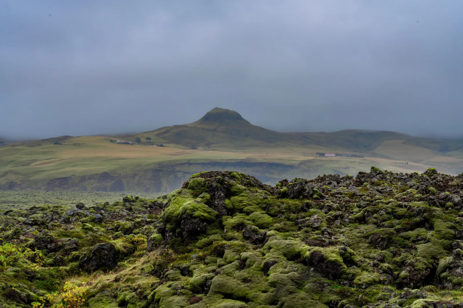 A moss covered lava field stretching toward a mountain in Iceland