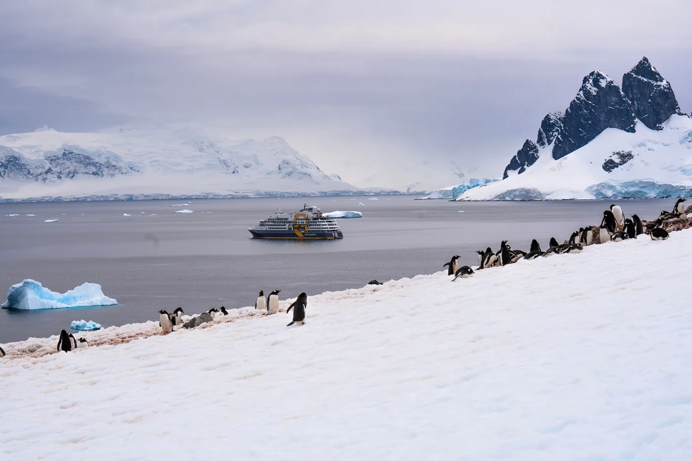 Penguins on the ice with an expedition ship offshore in Antarctica