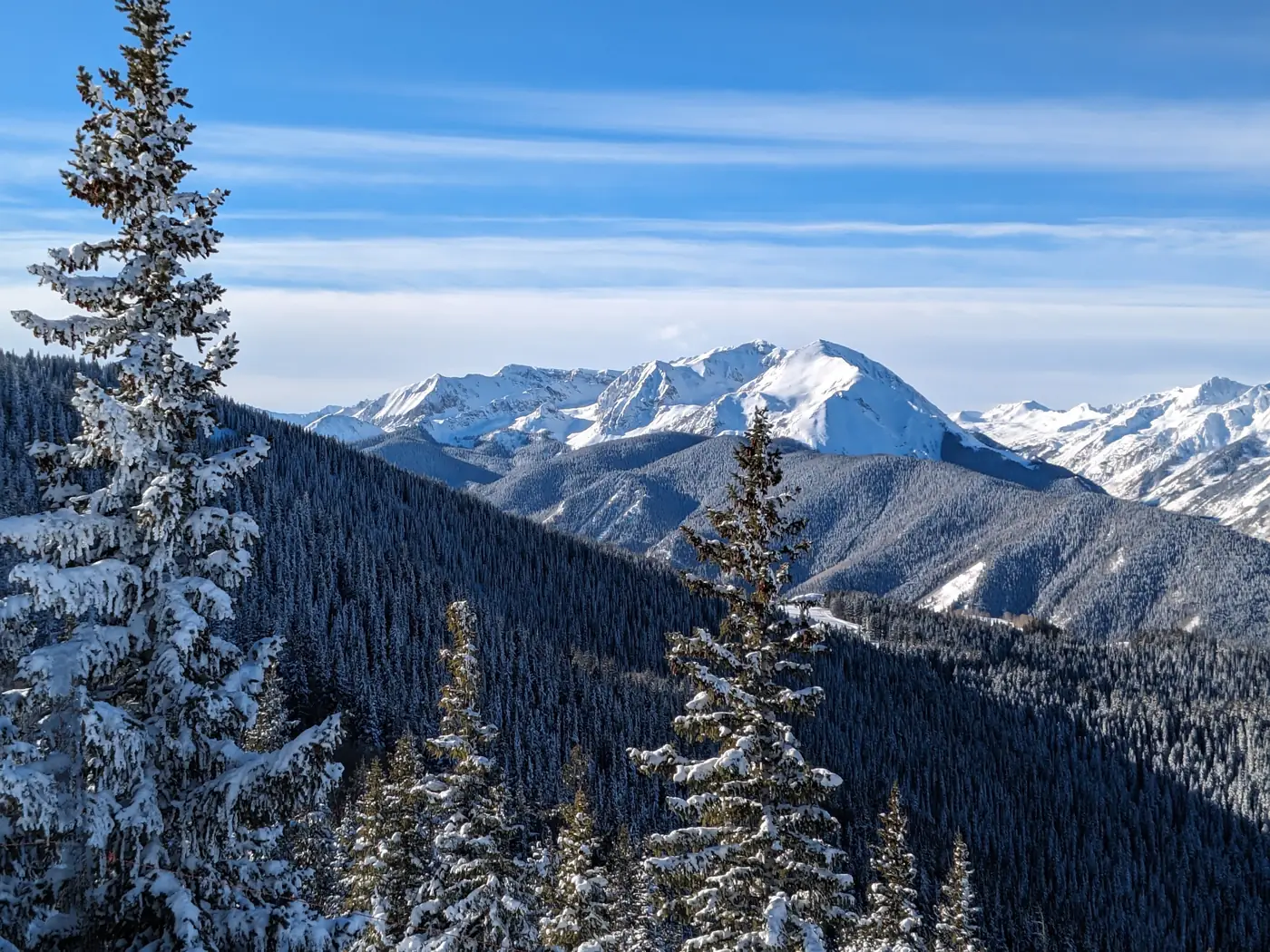 Snow covered pines and peaks above Aspen, Colorado