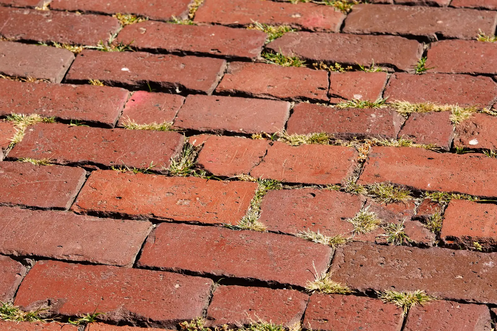 The worn red brick walkway that marks the Freedom Trail through Boston