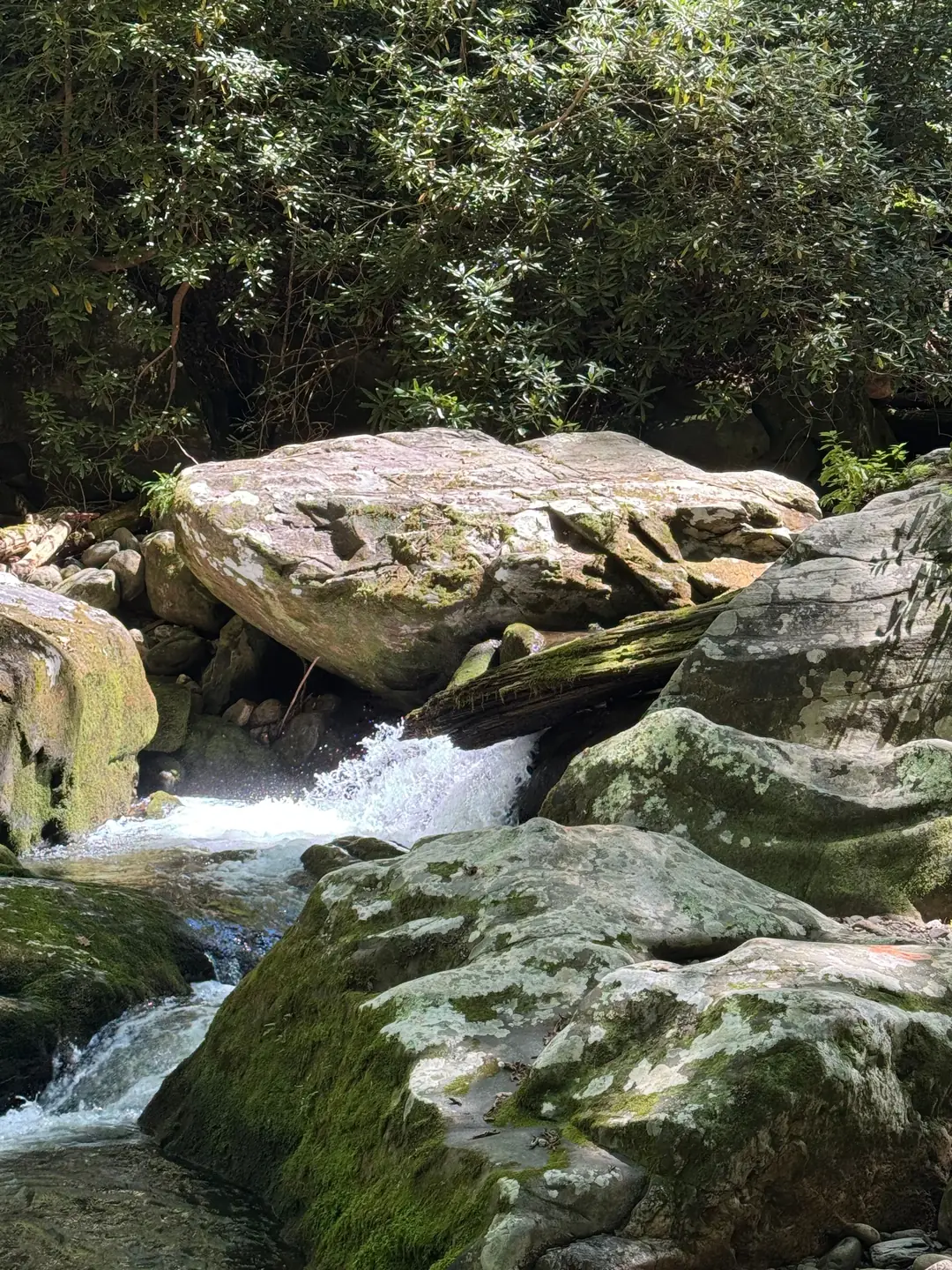 A shallow stream running over rocks in Great Smoky Mountains National Park