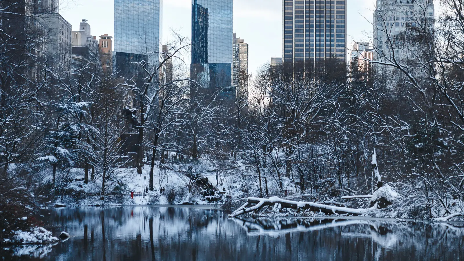 Snow covering the trees and pond in Central Park with the skyline behind