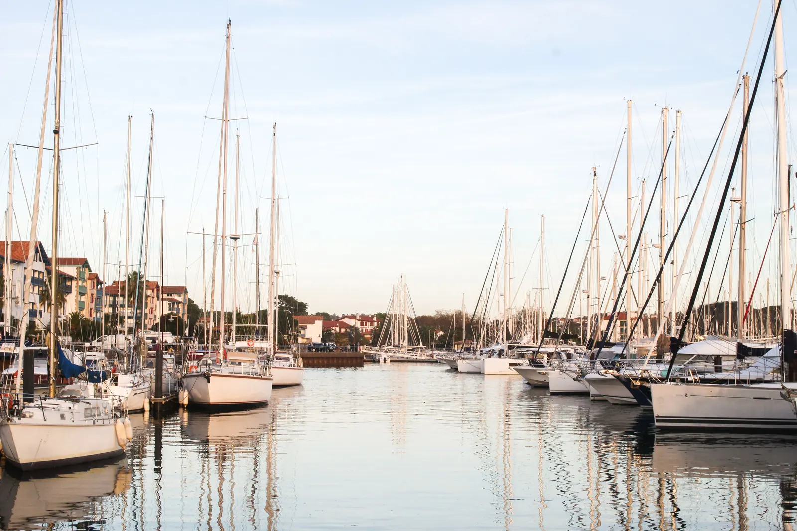 Sailboats moored in a marina at dusk