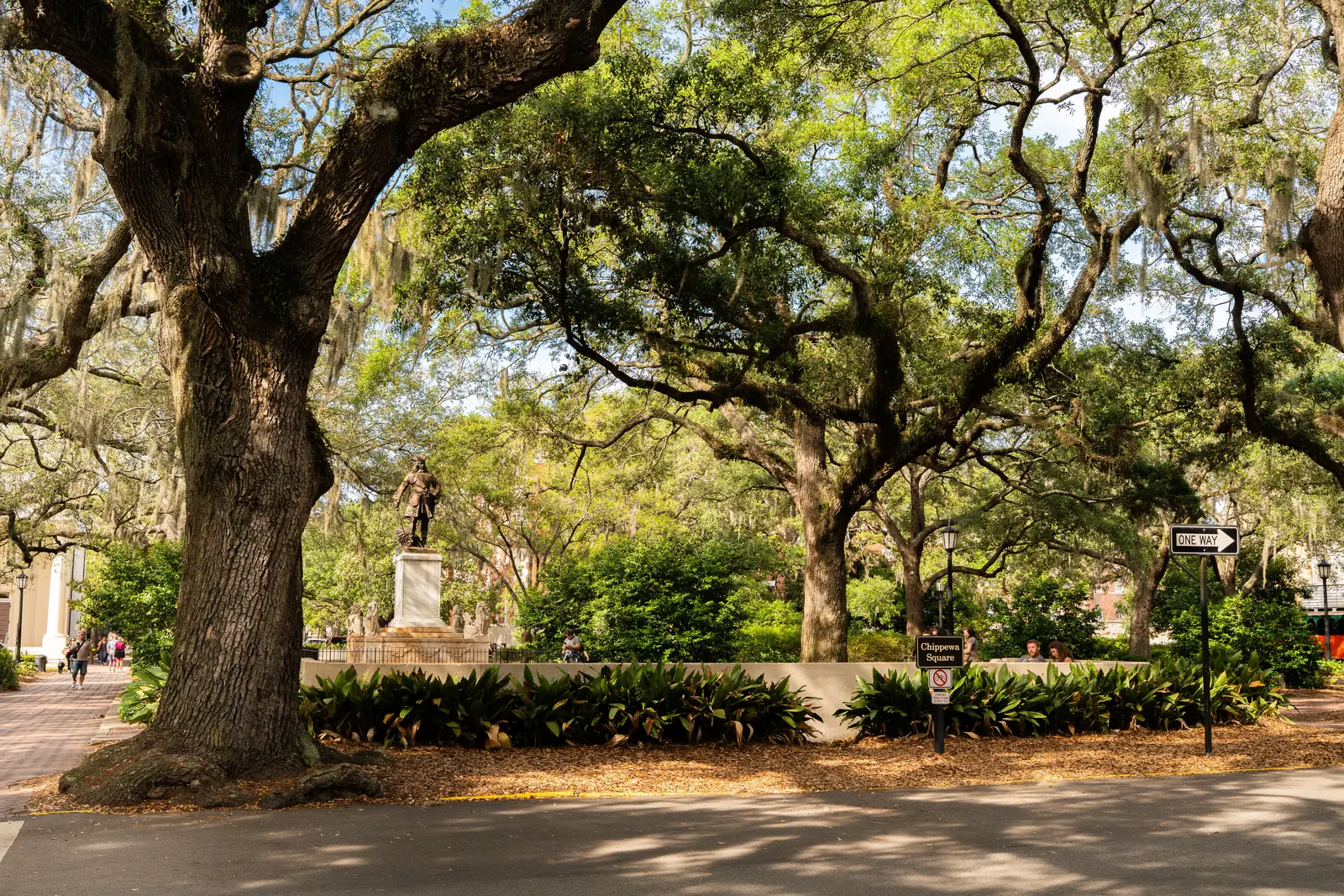 Chippewa Square in Savannah under its live oaks