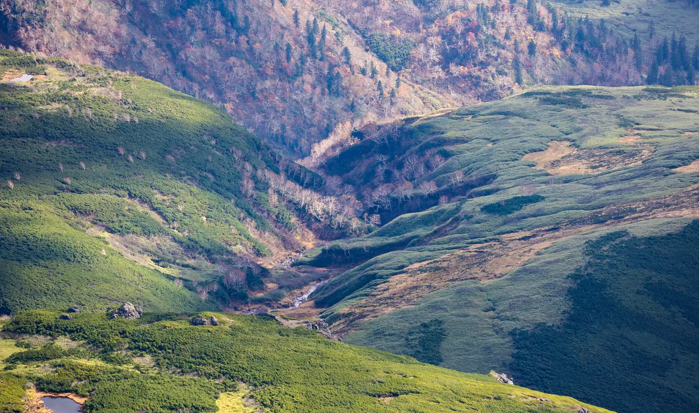 Early autumn colour spreading across the slopes of Asahidake in Hokkaido