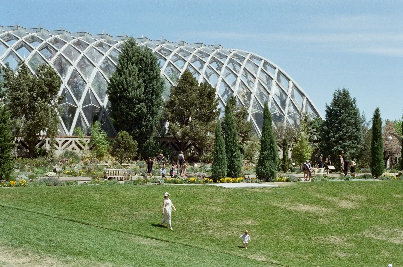 People walking among the plants in a botanical garden