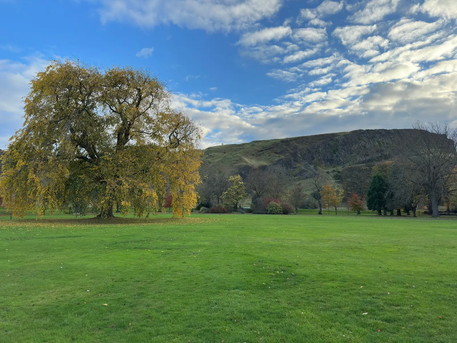 A park in Holyrood Park, Edinburgh, with the hills behind