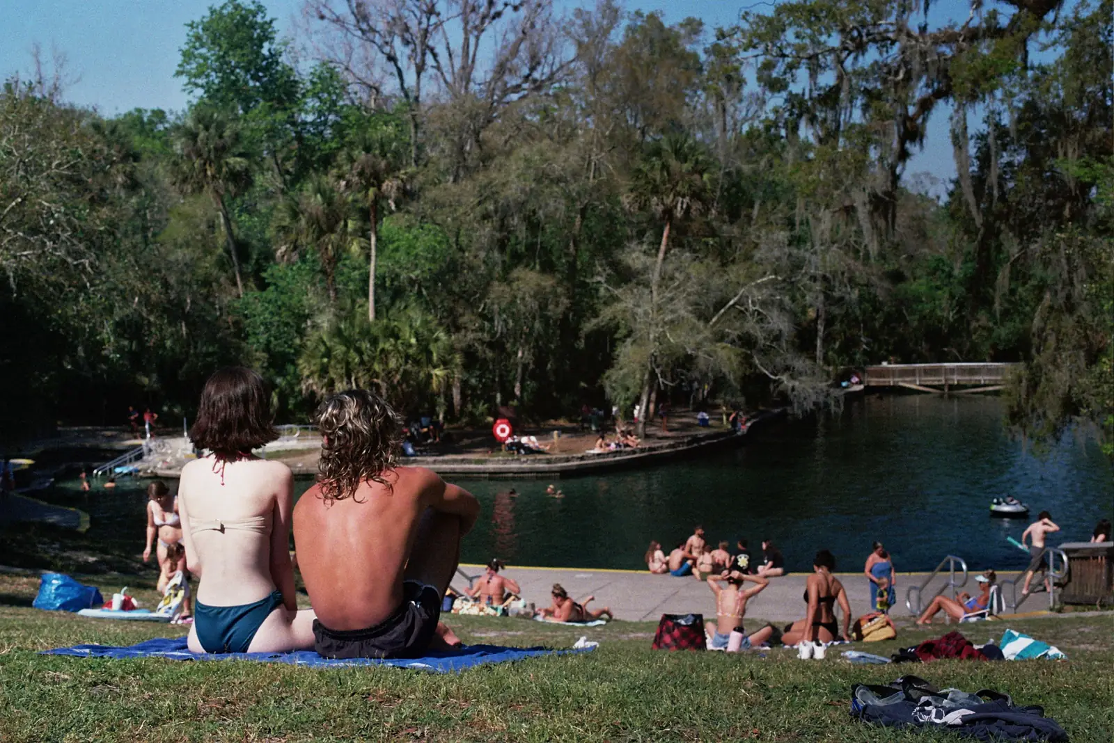 People sitting on the grass beside a Florida spring swimming hole under live oaks