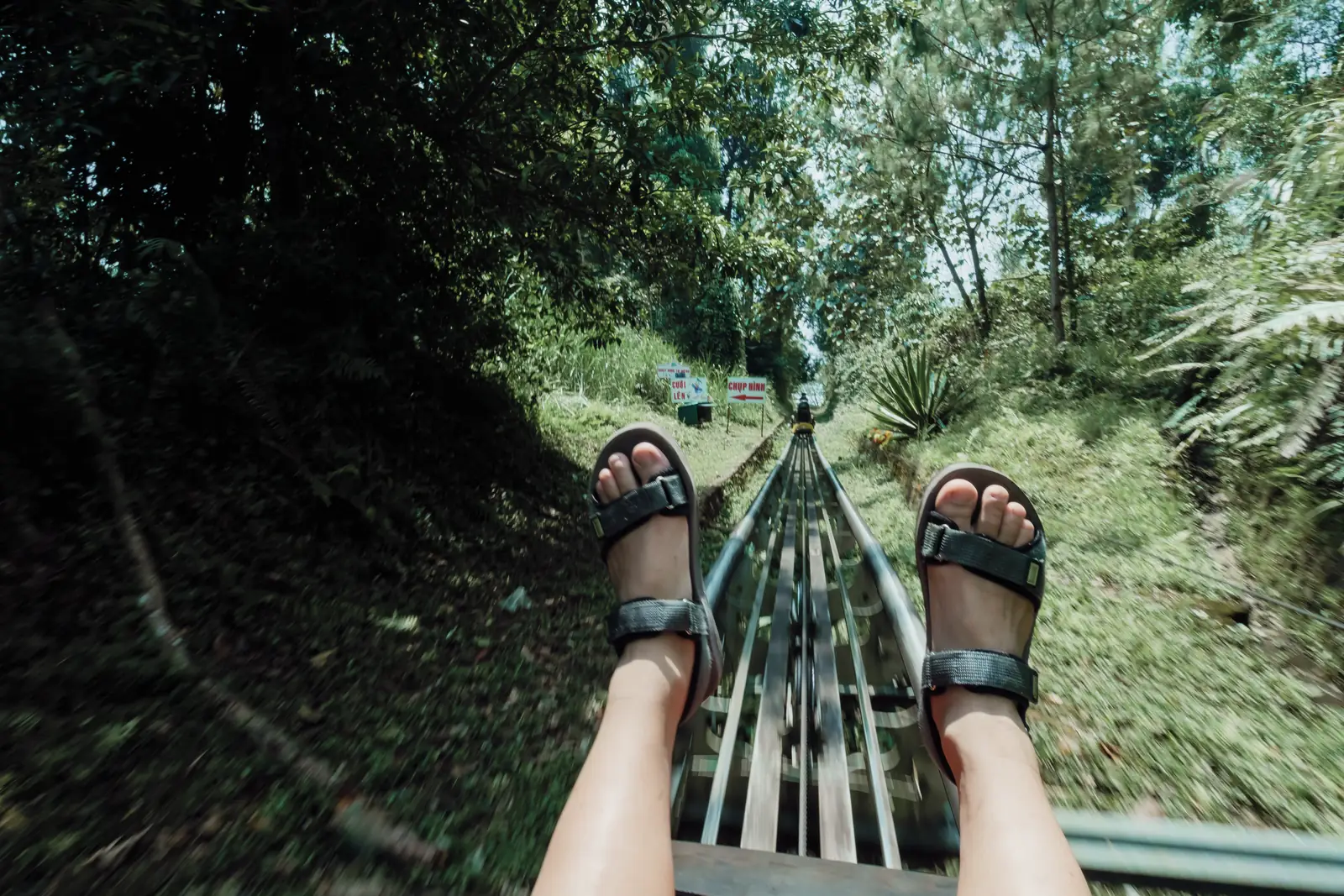 A first person view riding a mountain coaster down through the trees