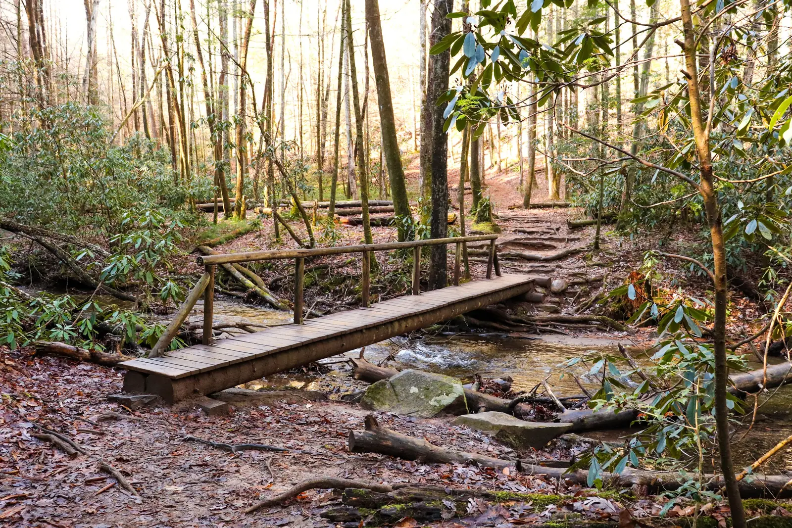 A wooden footbridge crossing a river in the woods