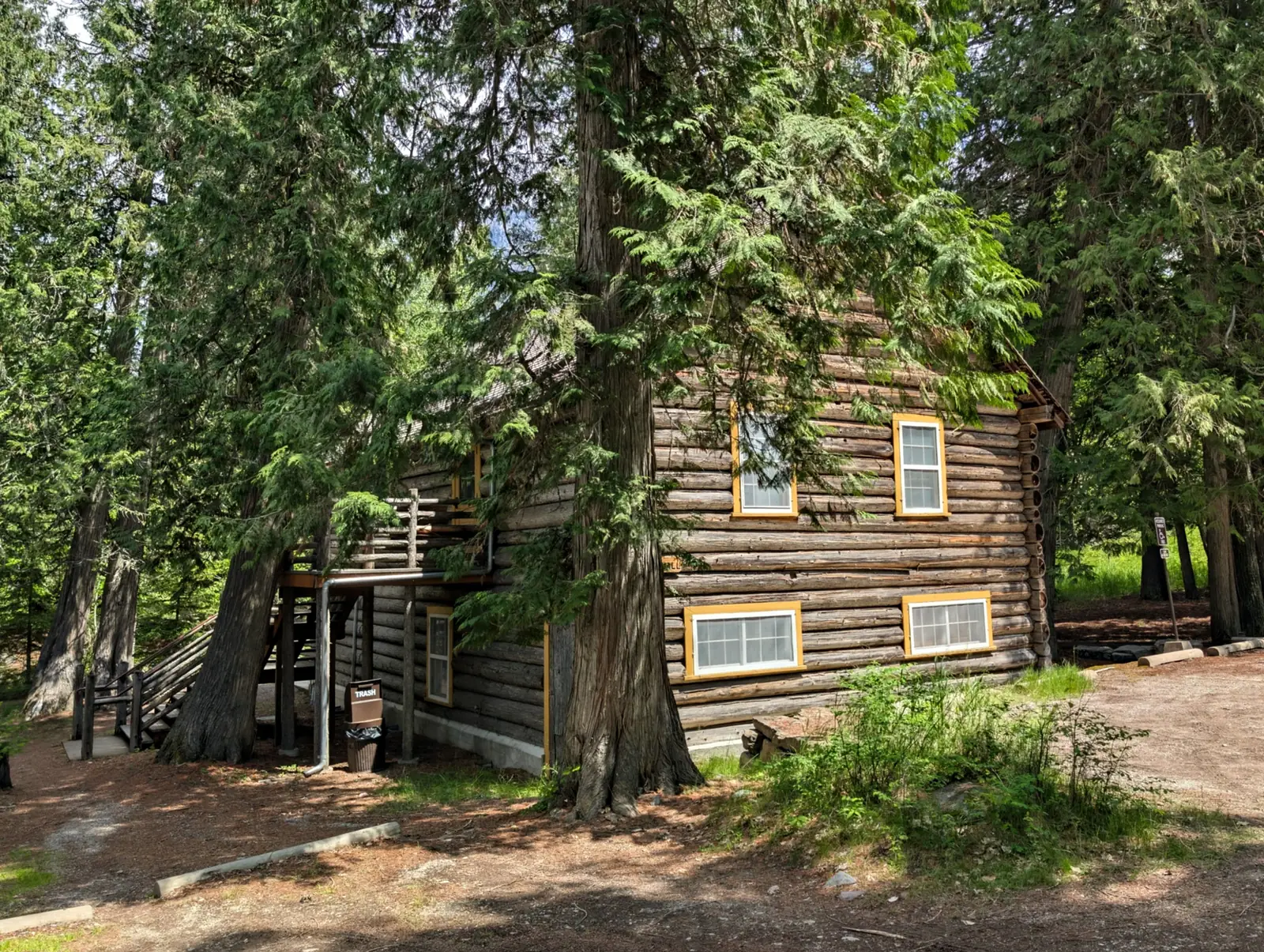 A rustic log cabin tucked into thick forest