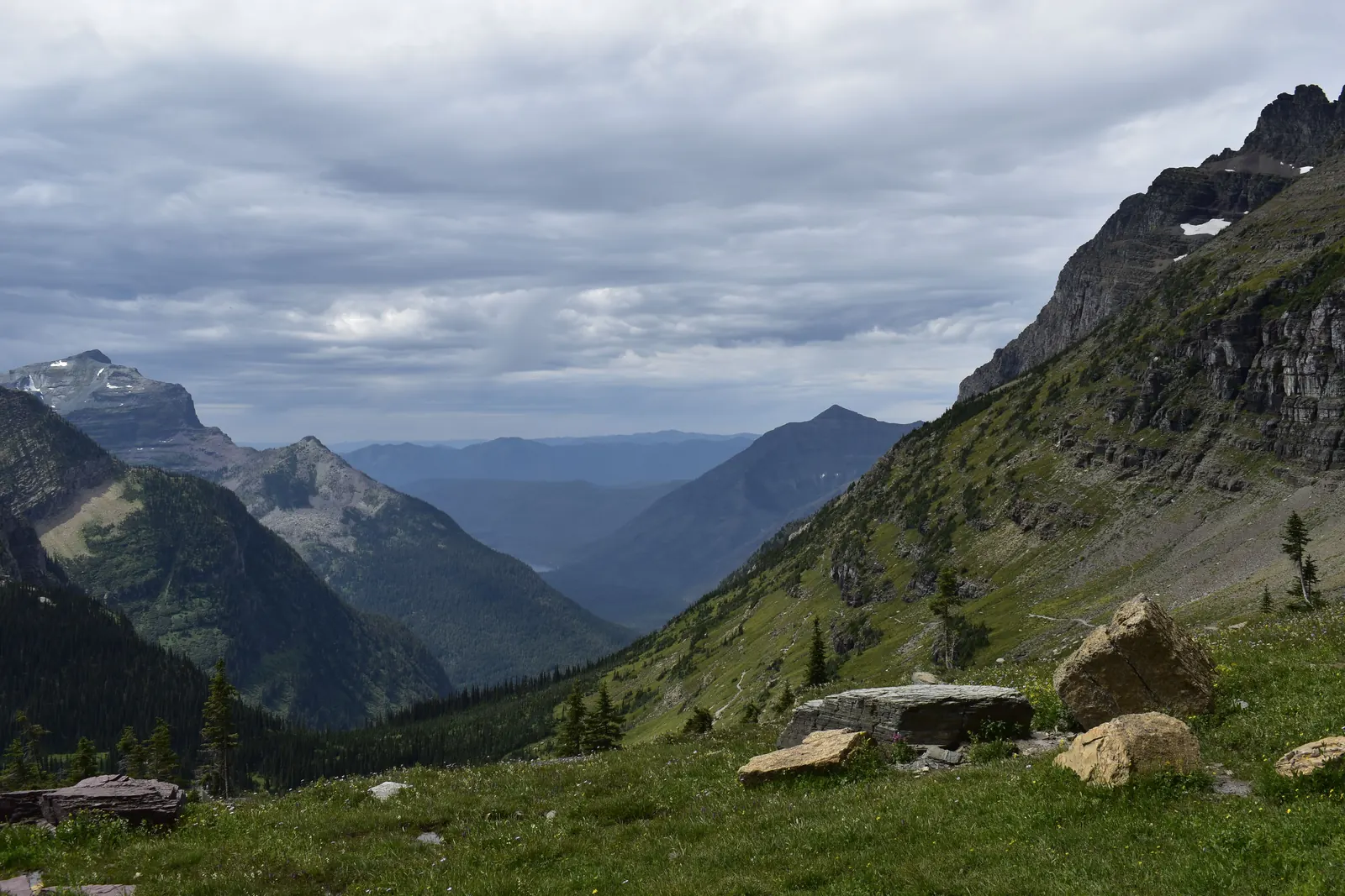 A broad green valley below high peaks in Glacier National Park