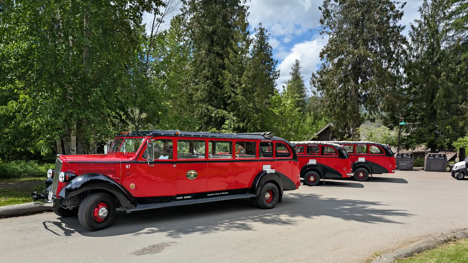 Vintage red tour buses parked under the trees at Glacier National Park