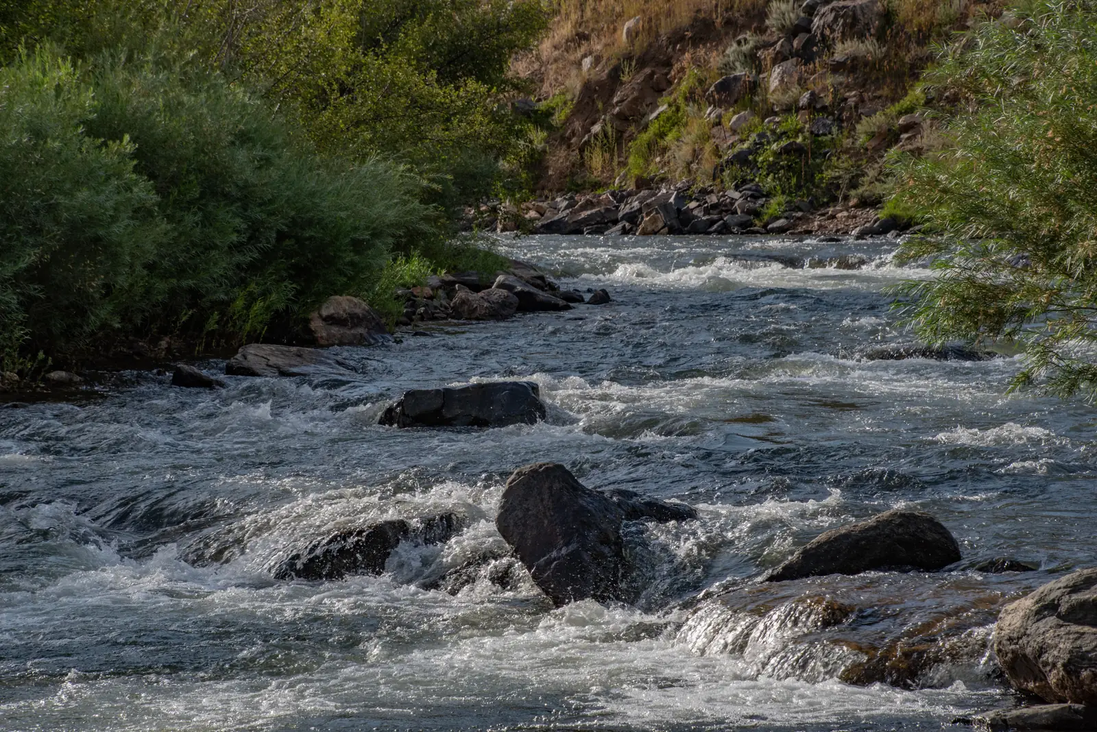 A mountain creek running through the foothills near Denver Colorado