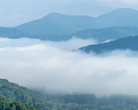Layers of blue ridges rising above low cloud in the Great Smoky Mountains