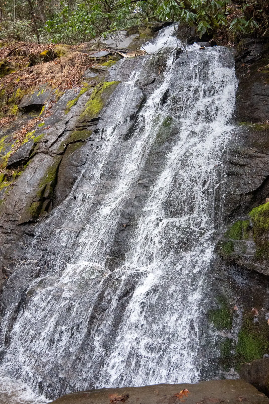 A waterfall dropping over rock in Great Smoky Mountains National Park
