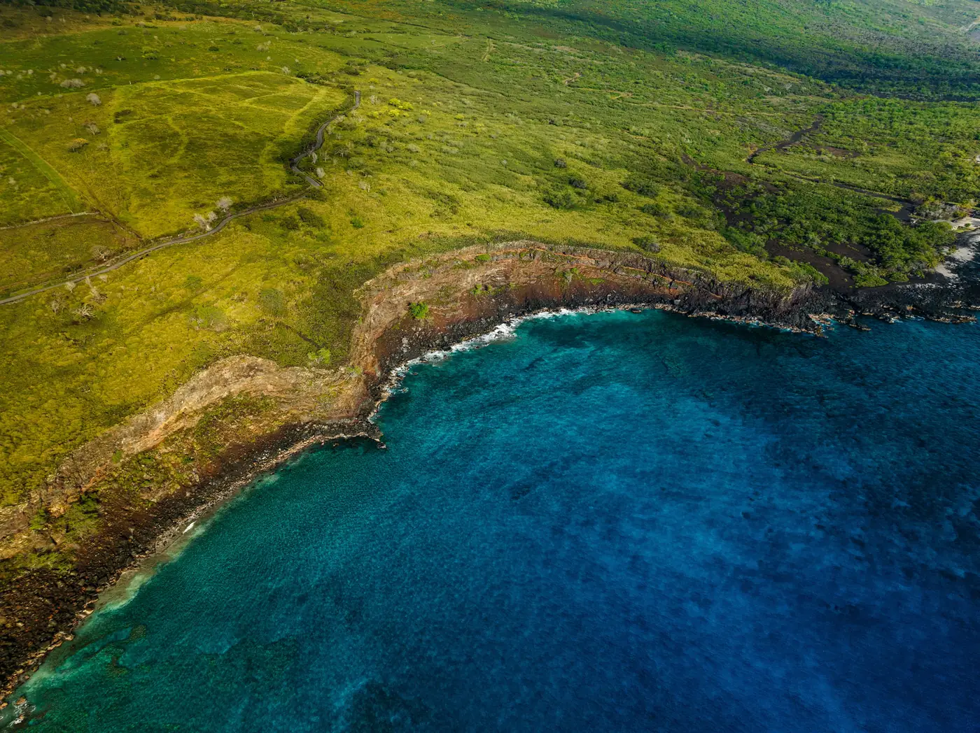 Green cliffs dropping into deep blue water along the Kohala Coast in Hawaii