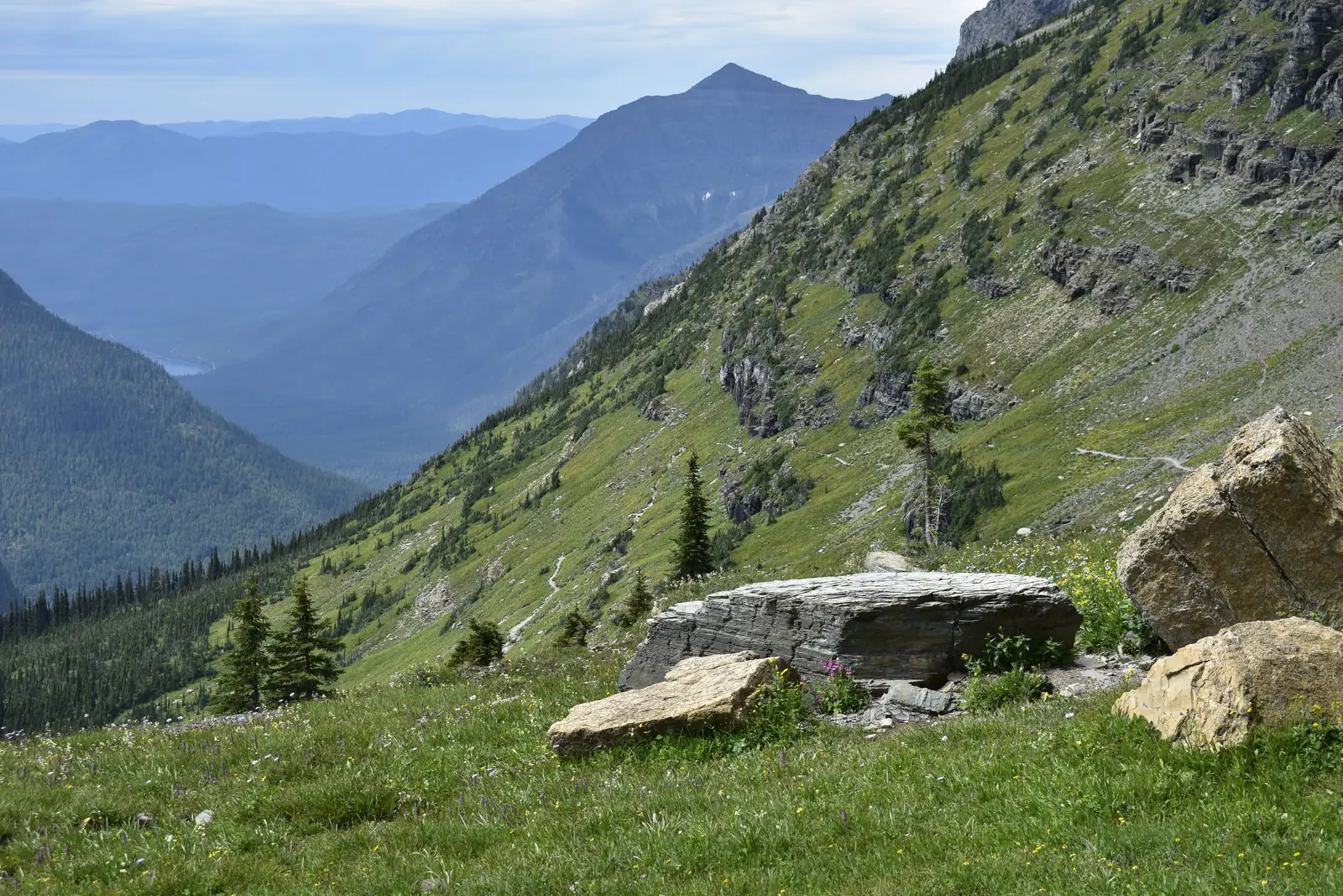 A high green slope falling away to a deep valley in Glacier National Park