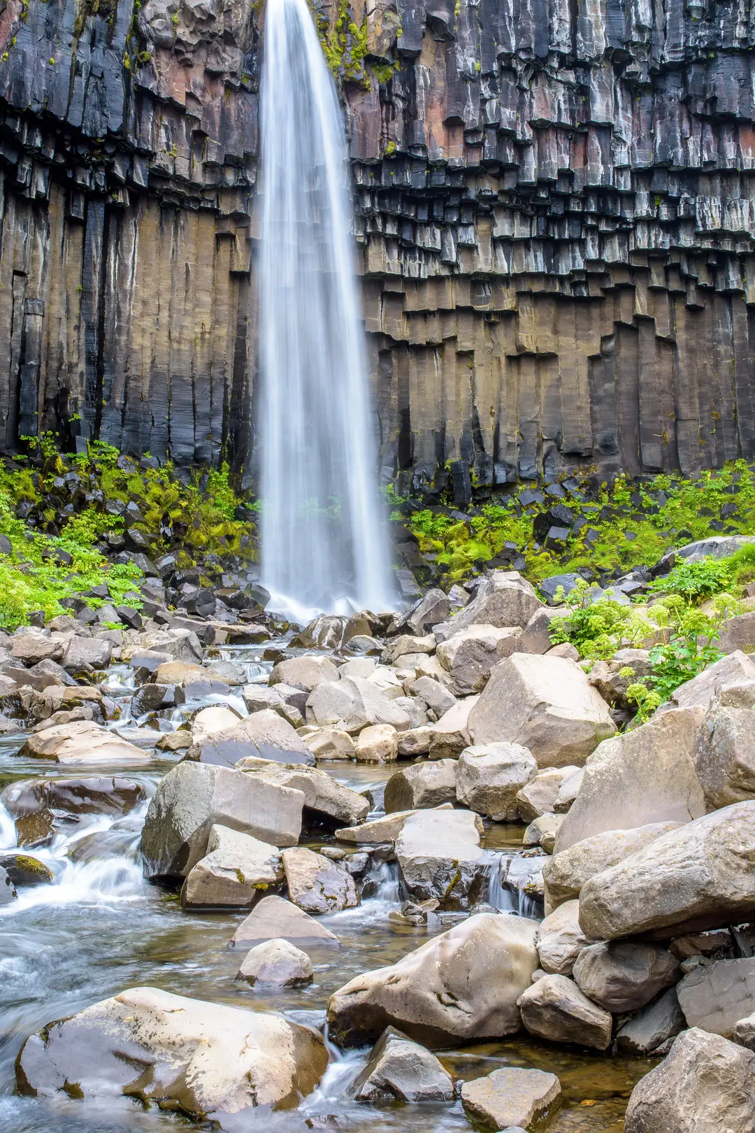 Svartifoss waterfall dropping over a wall of dark hexagonal basalt columns