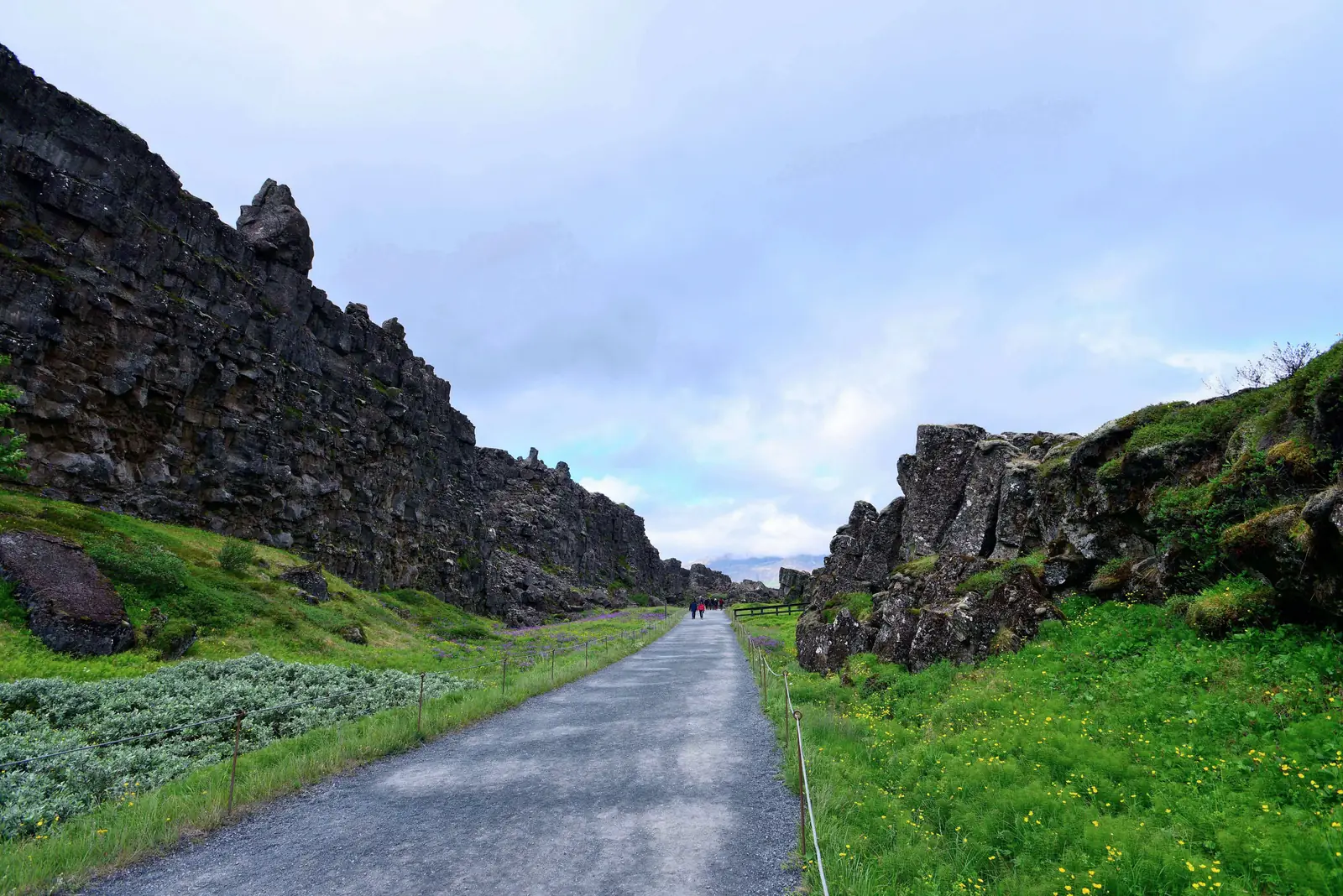 A paved path running between two rock walls through the rift valley at Thingvellir