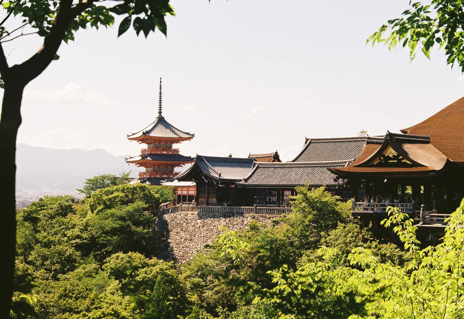 Kiyomizu-dera temple and its pagoda above the trees in Kyoto