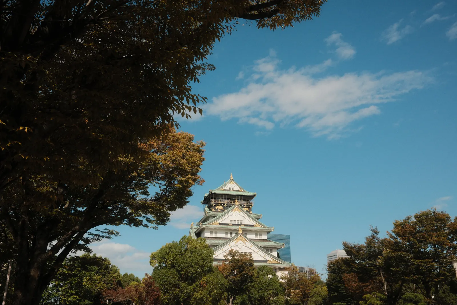 Osaka Castle rising above the trees against a blue sky