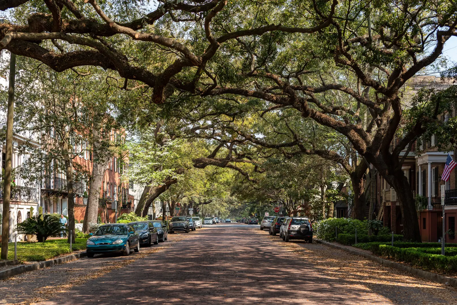 A residential street of historic homes under arching oaks in Savannah