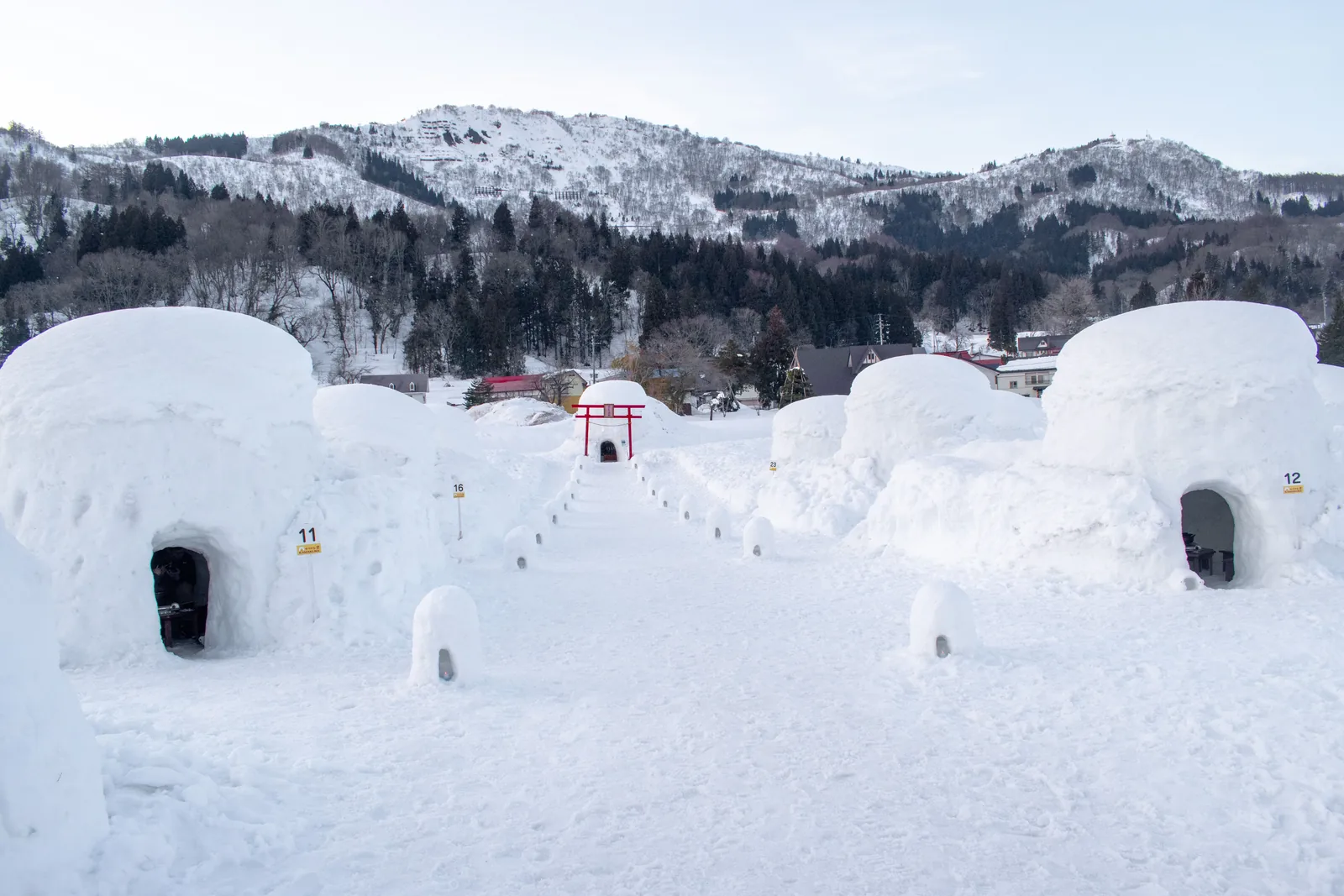 Snow huts built in a row in a snowy field in Japan