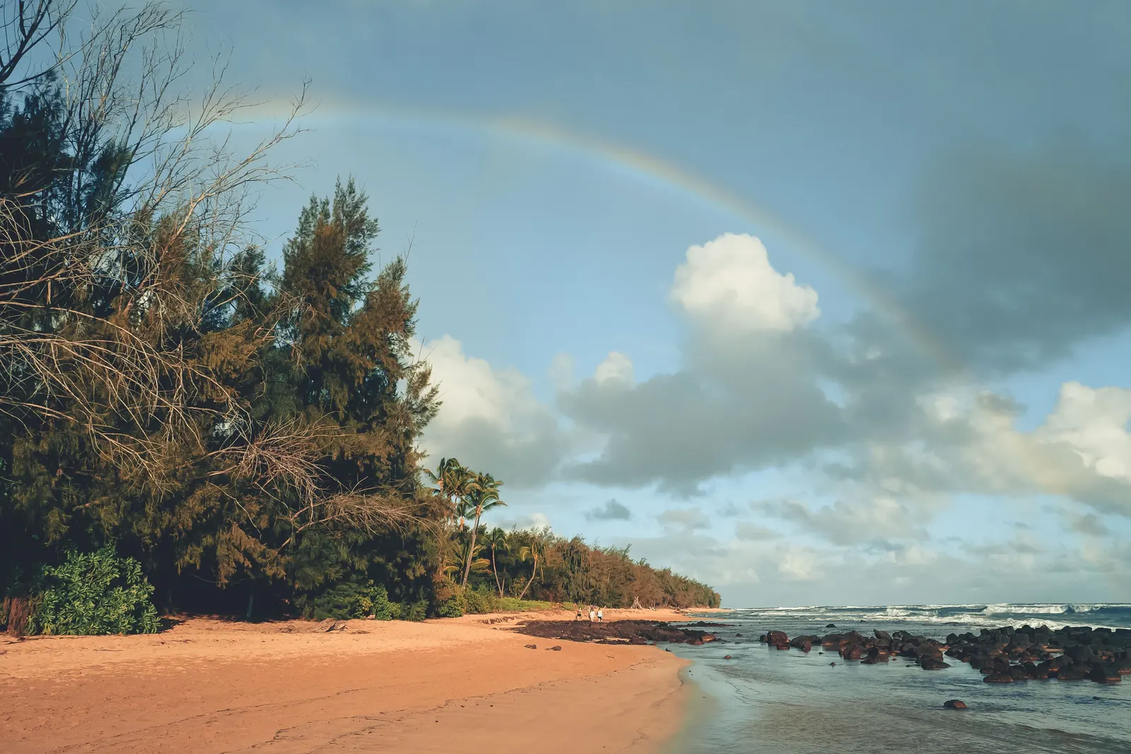 A rainbow over an empty beach lined with ironwood trees