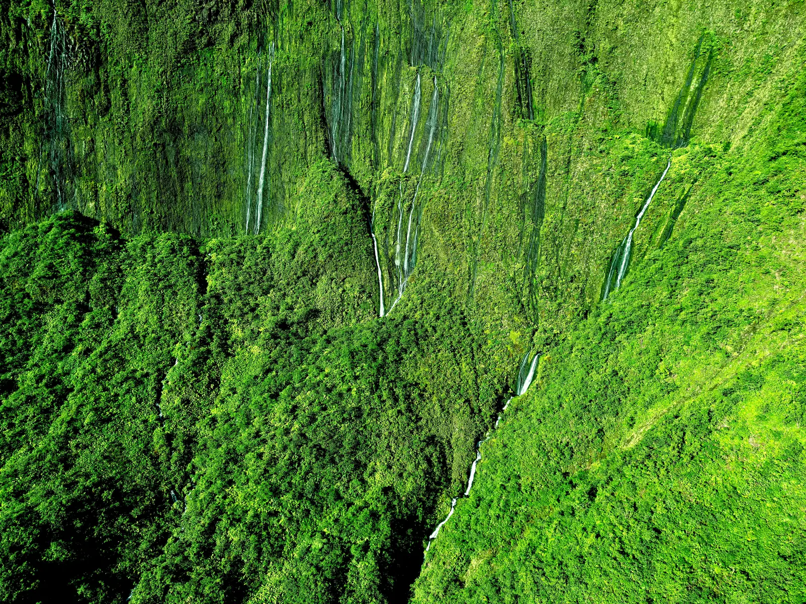 Vivid green cliffs threaded with thin waterfalls in Hawaii