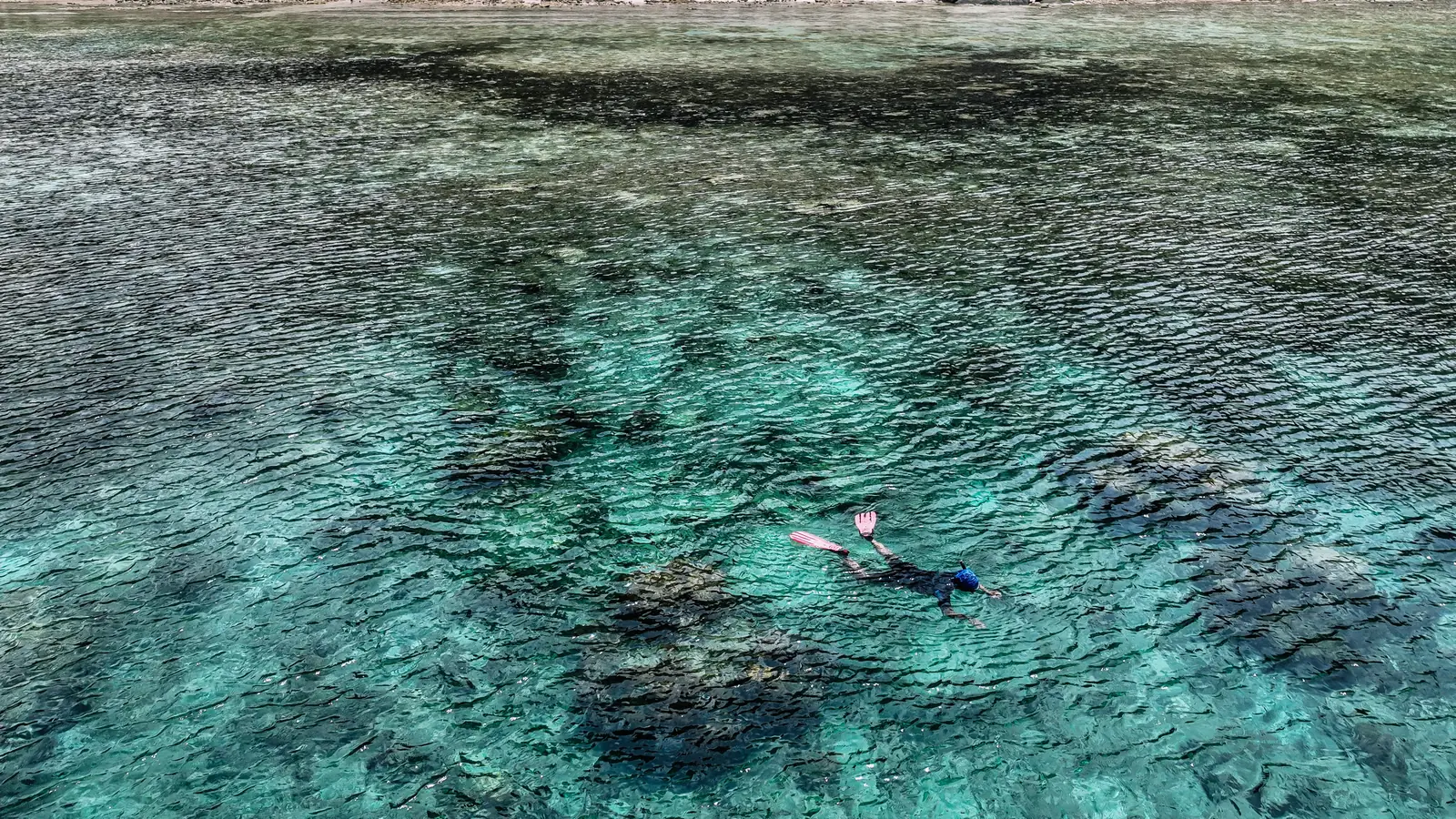 A snorkeler floating above a shallow reef in clear water