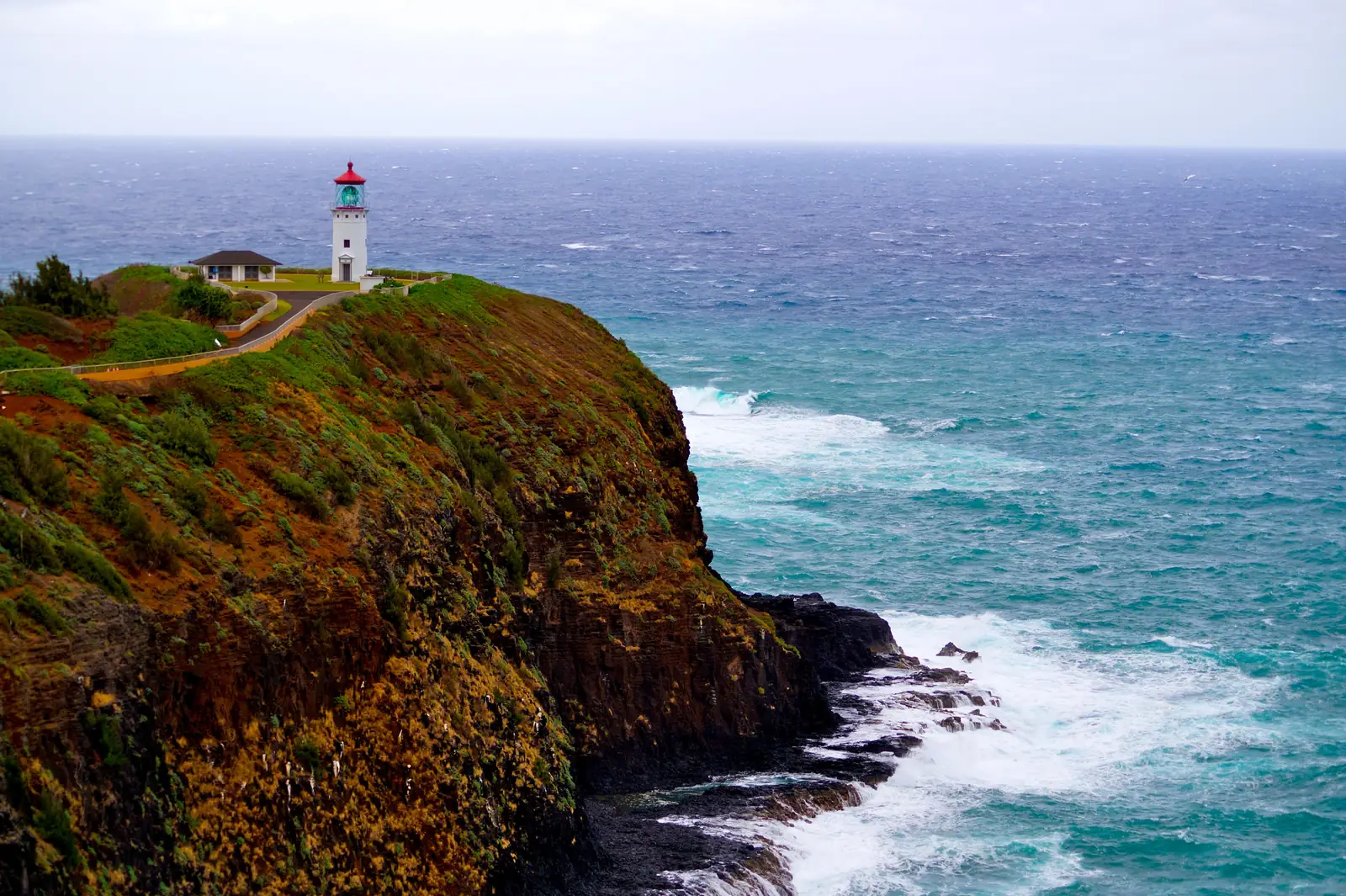 Kilauea Lighthouse standing on a green headland above the ocean on Kauai