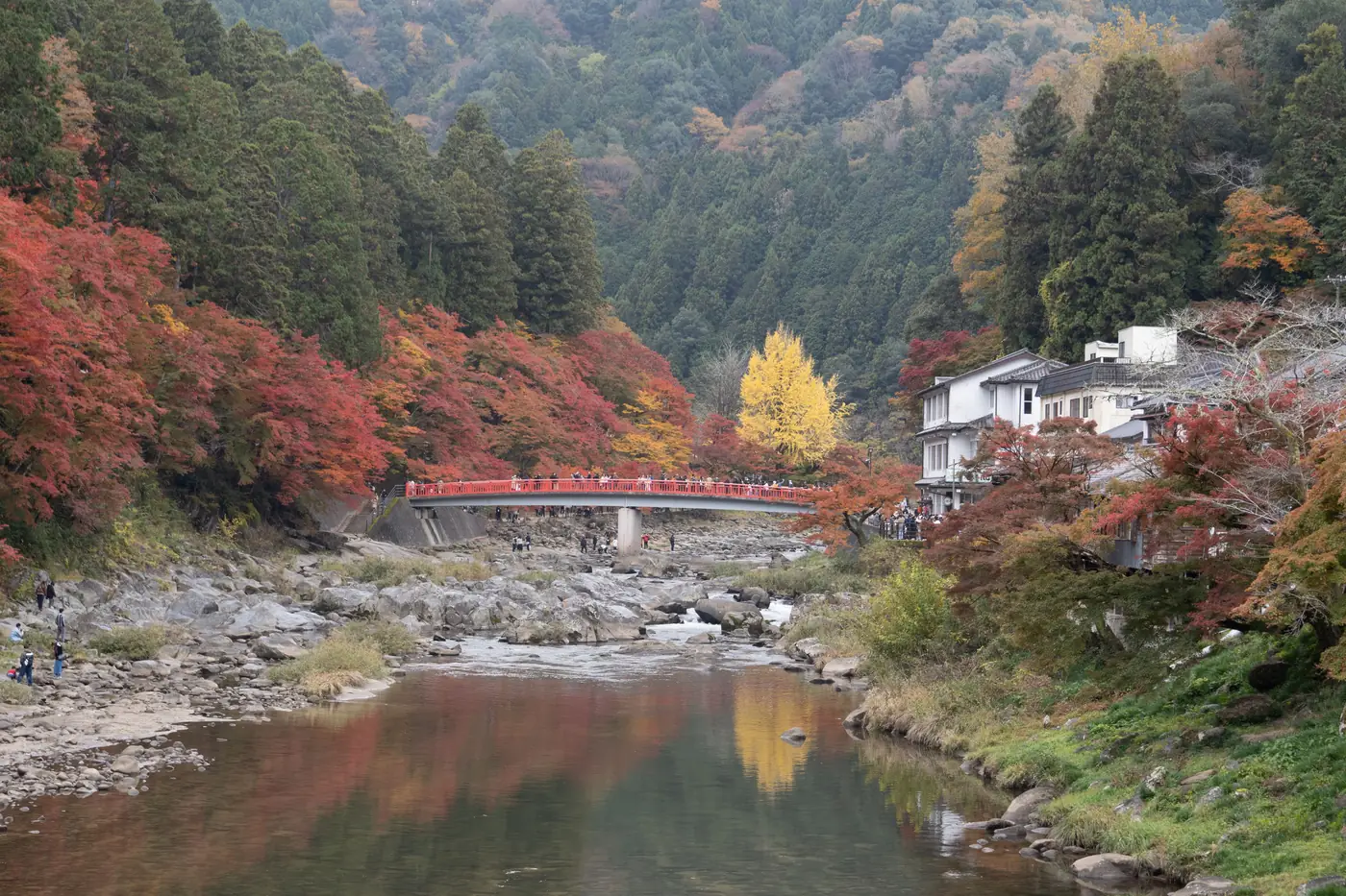 A red bridge over the river at Korankei valley with autumn maples on the hillside