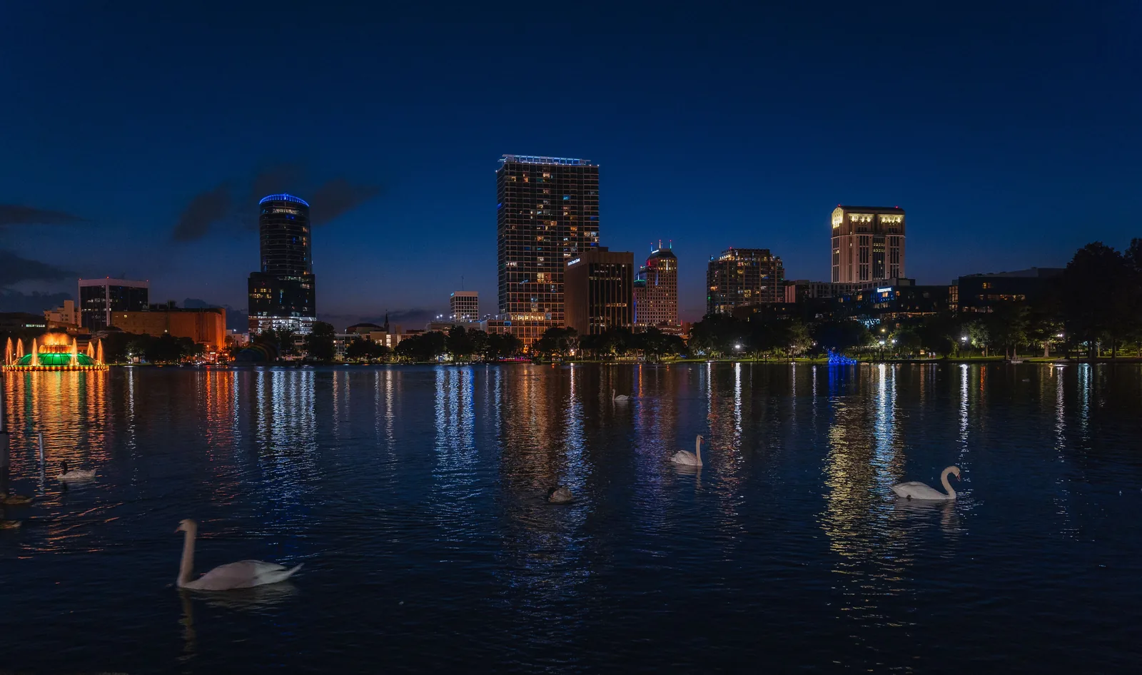 Swans on Lake Eola at night with the lit downtown Orlando skyline behind them