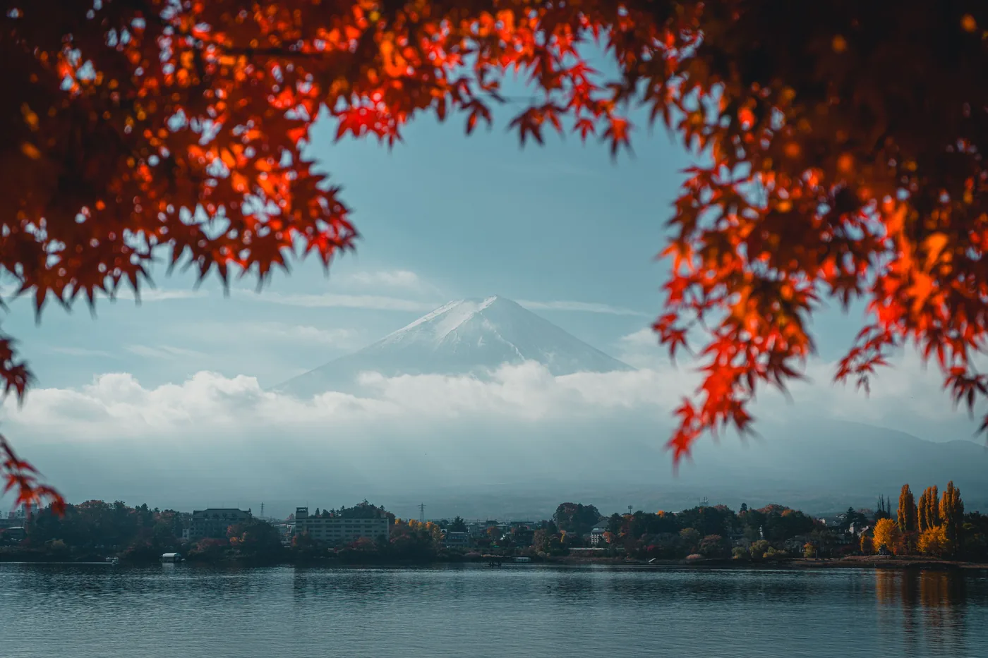 Mount Fuji seen across Lake Kawaguchi framed by red maple leaves