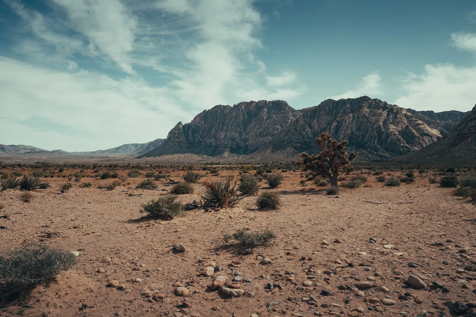 Open desert and low mountains on the edge of the Las Vegas valley