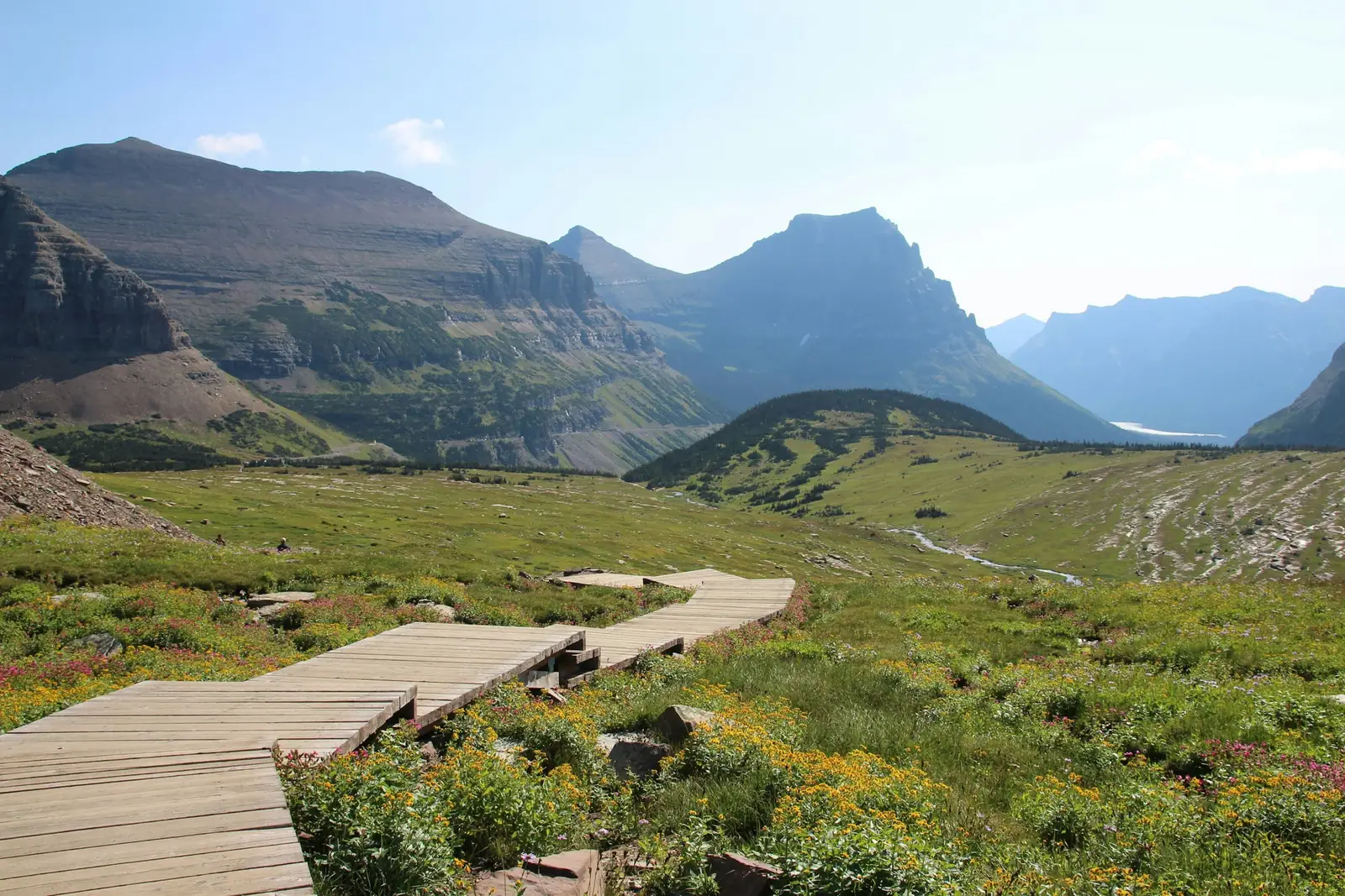 A boardwalk trail crossing the wildflower meadows at Logan Pass