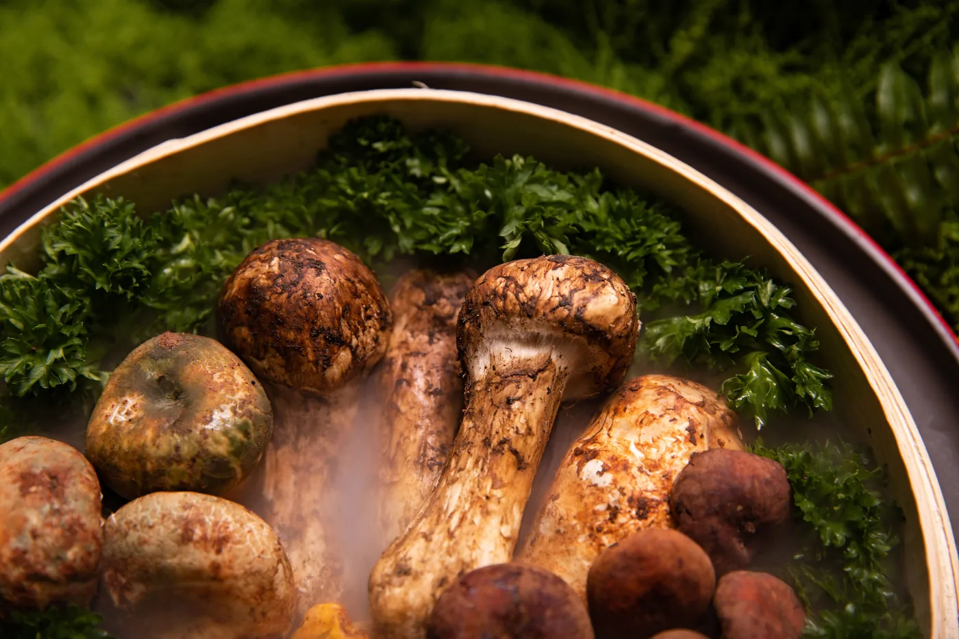 Fresh matsutake mushrooms, one of the signature autumn ingredients in Japan