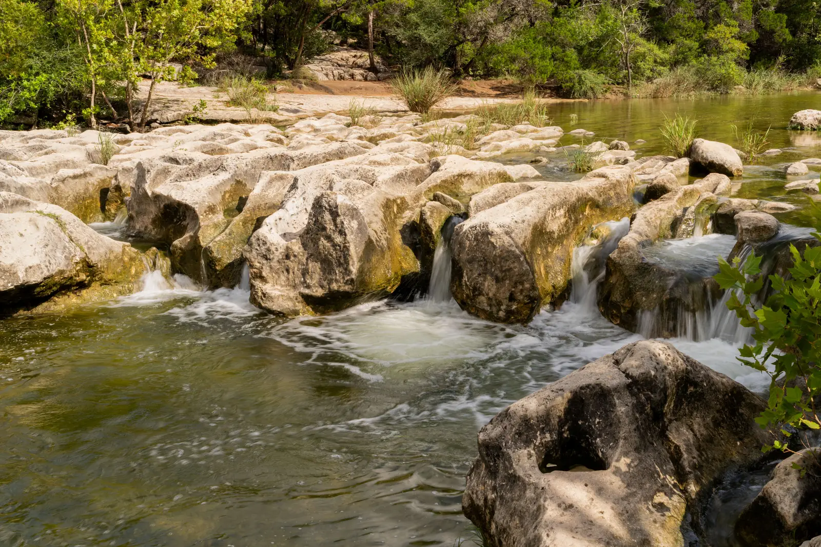 A creek running over limestone ledges between trees
