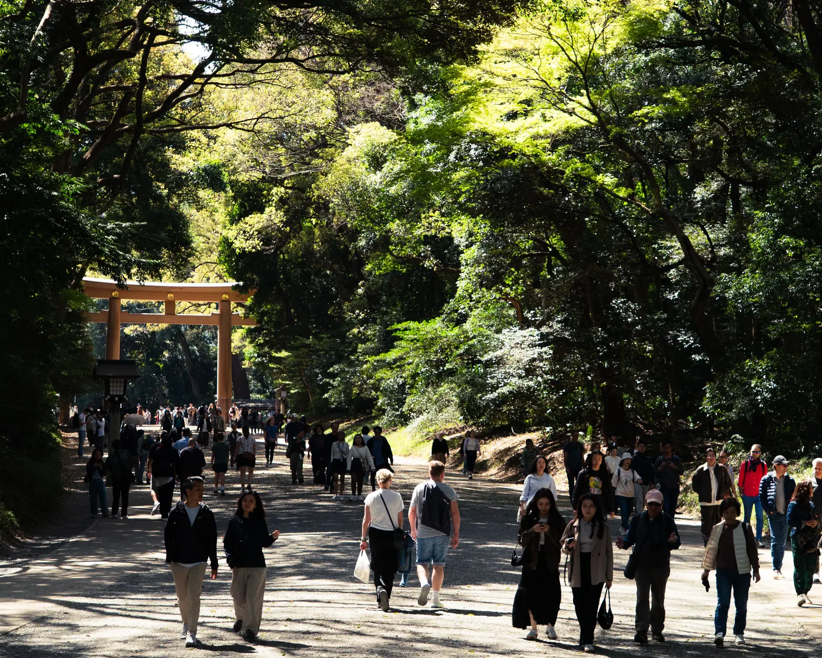 Visitors walking the gravel approach to the torii at Meiji Jingu in Tokyo