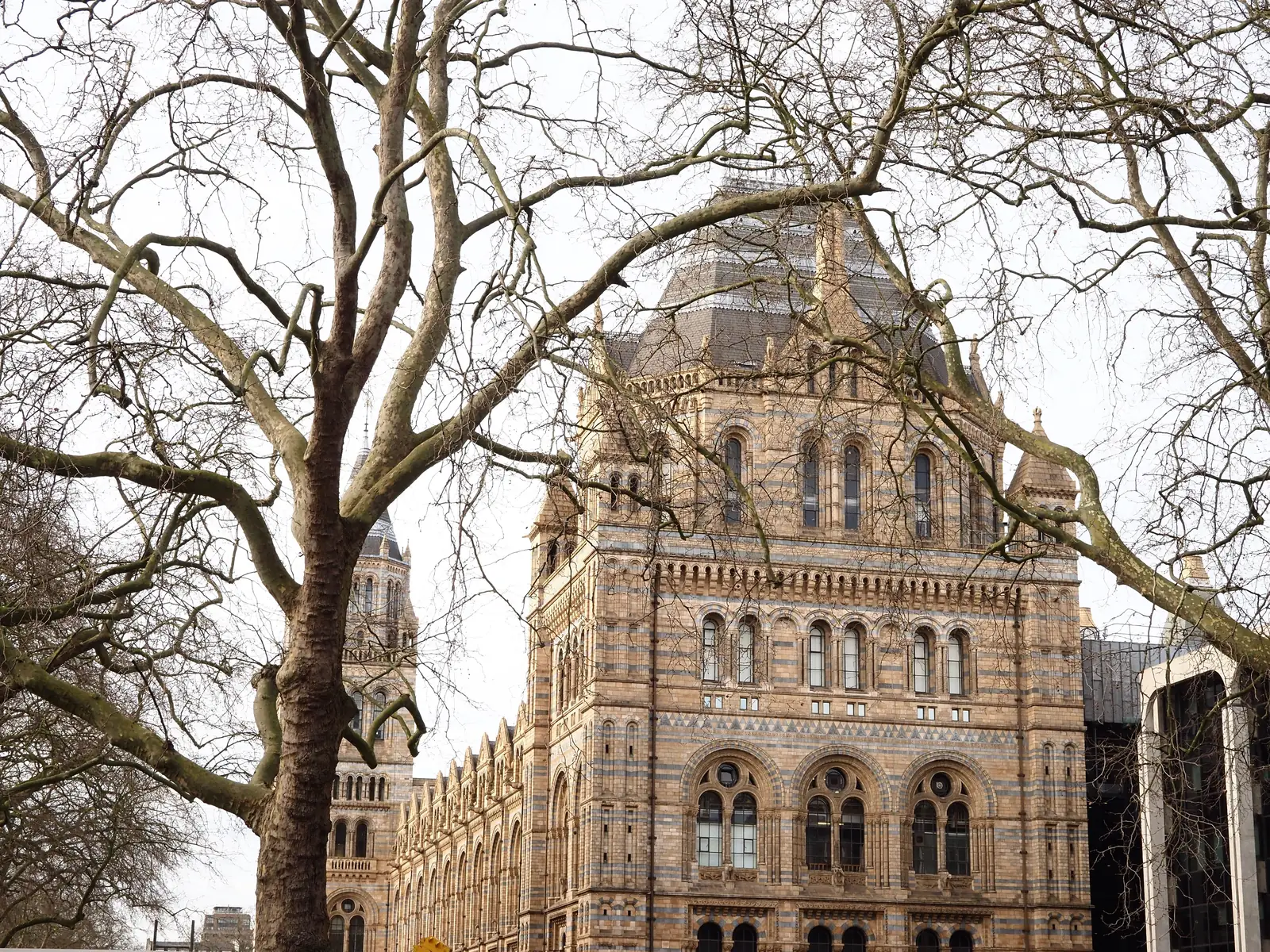 The Natural History Museum in London behind bare winter trees
