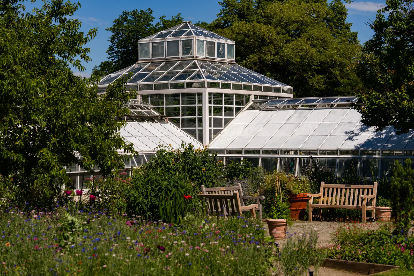 The glasshouse conservatory at the New York Botanical Garden