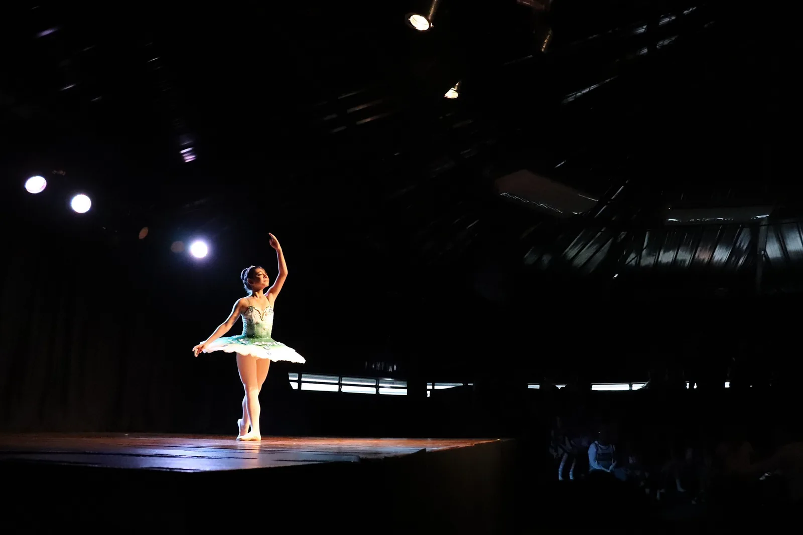A ballerina alone in a spotlight on a darkened theater stage