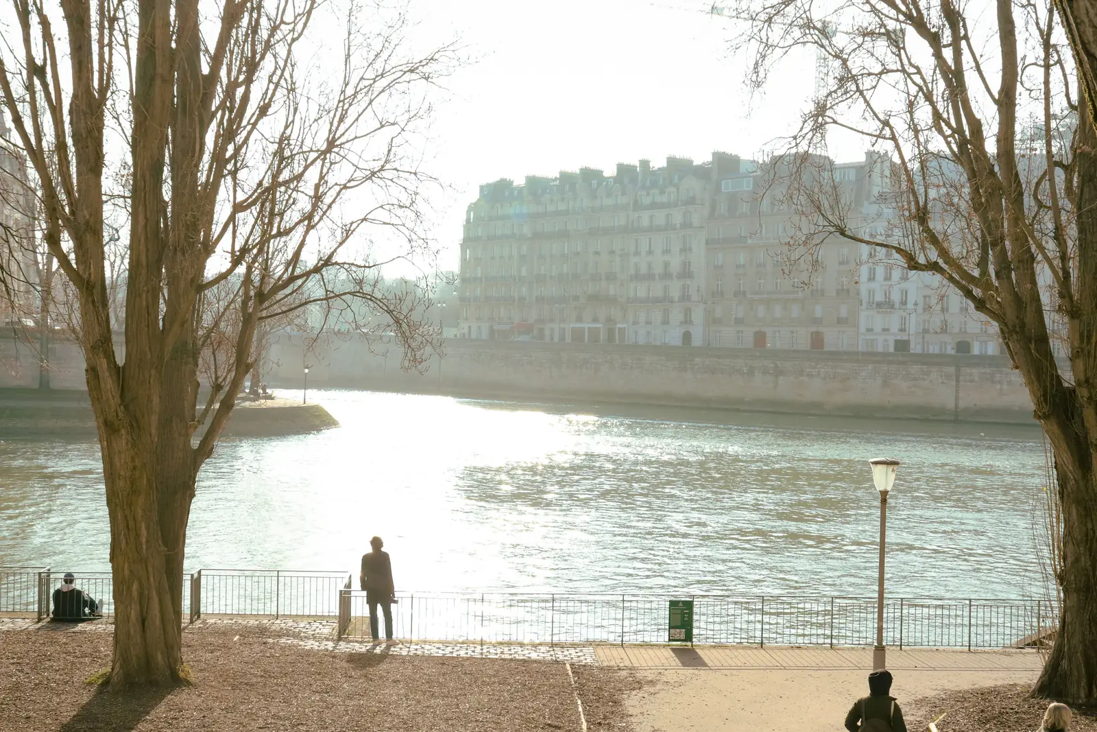 A person walking beside the Seine on a misty winter morning with bare trees along the quay